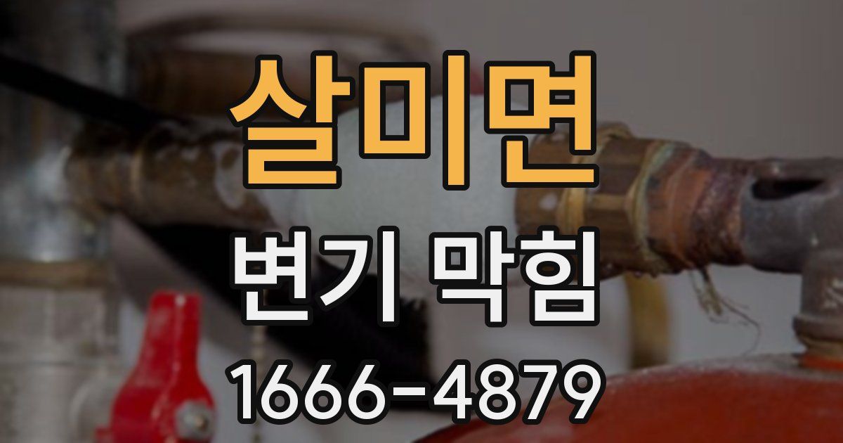 살미면 변기 막힘