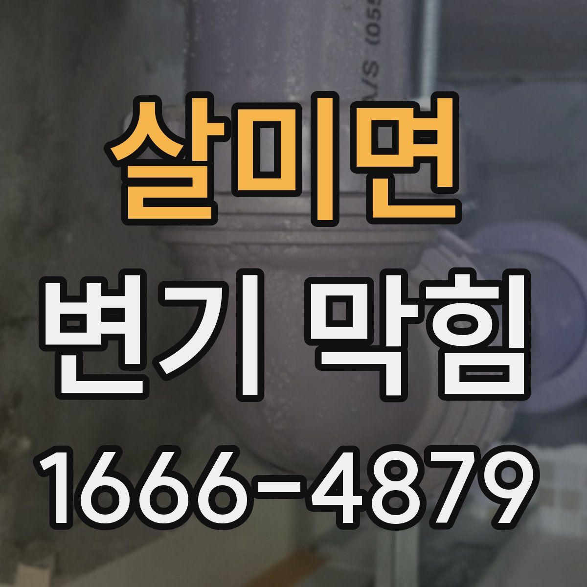 살미면 변기 막힘
