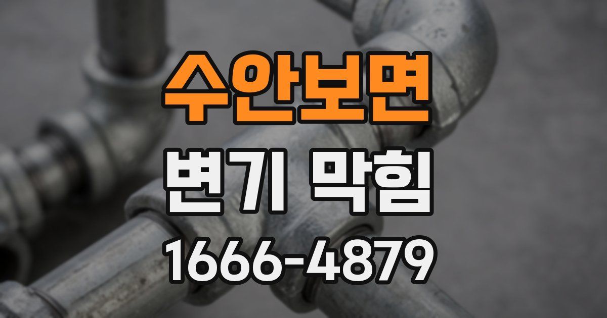 수안보면 변기 막힘