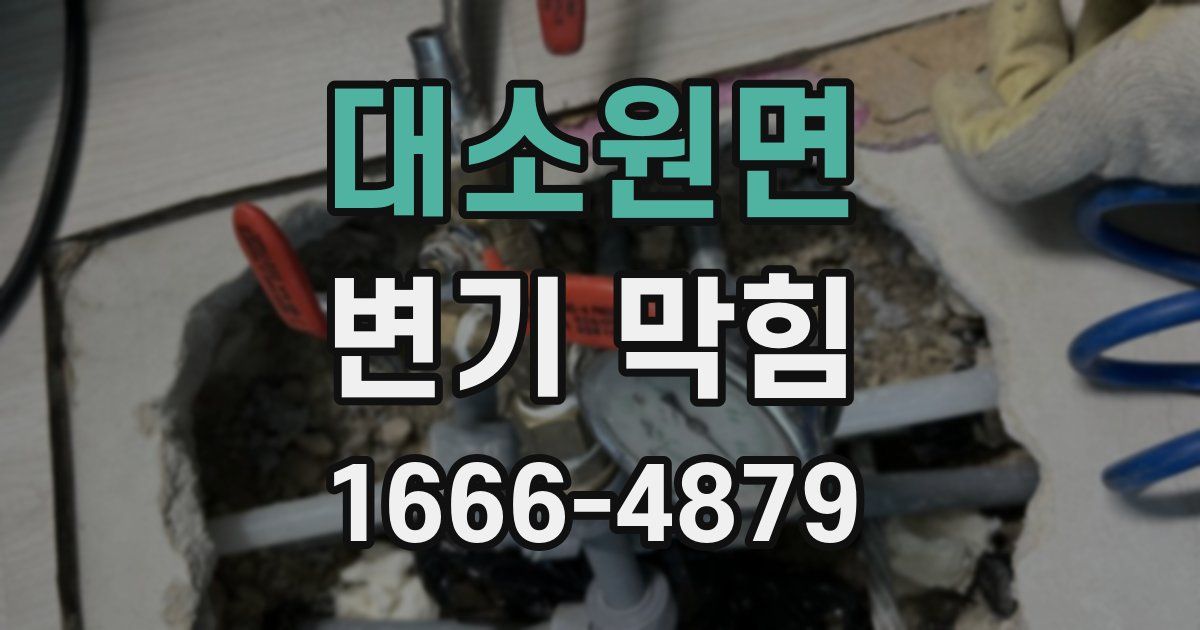 대소원면 변기 막힘