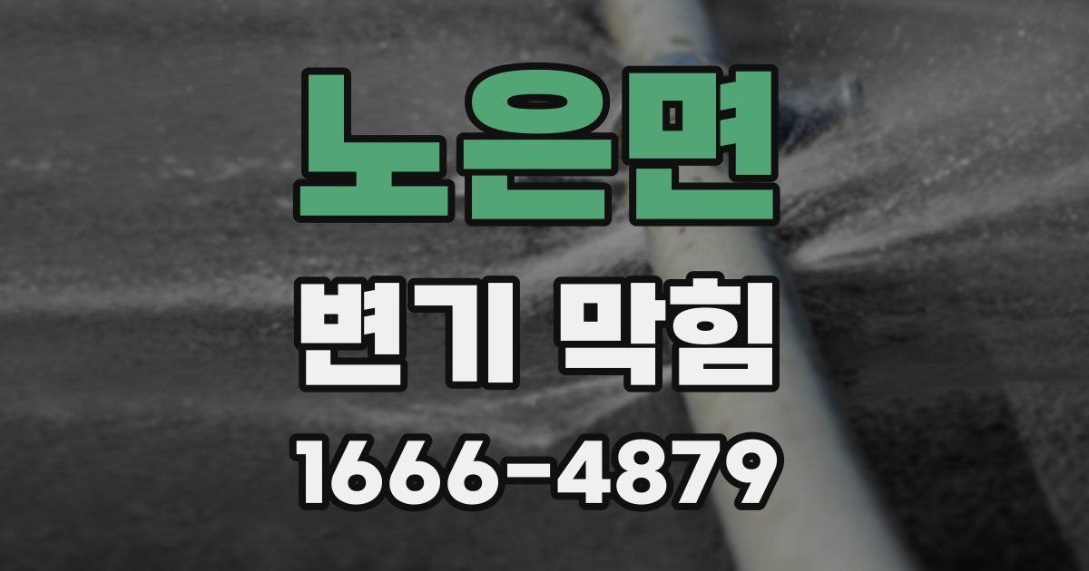 노은면 변기 막힘