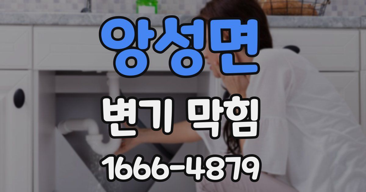 앙성면 변기 막힘