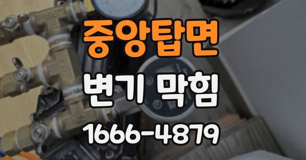 중앙탑면 변기 막힘