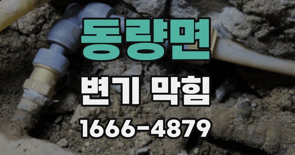 동량면 변기 막힘