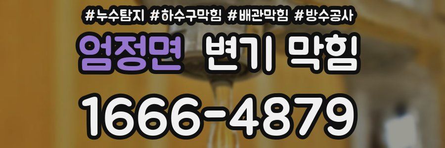 엄정면 변기 막힘