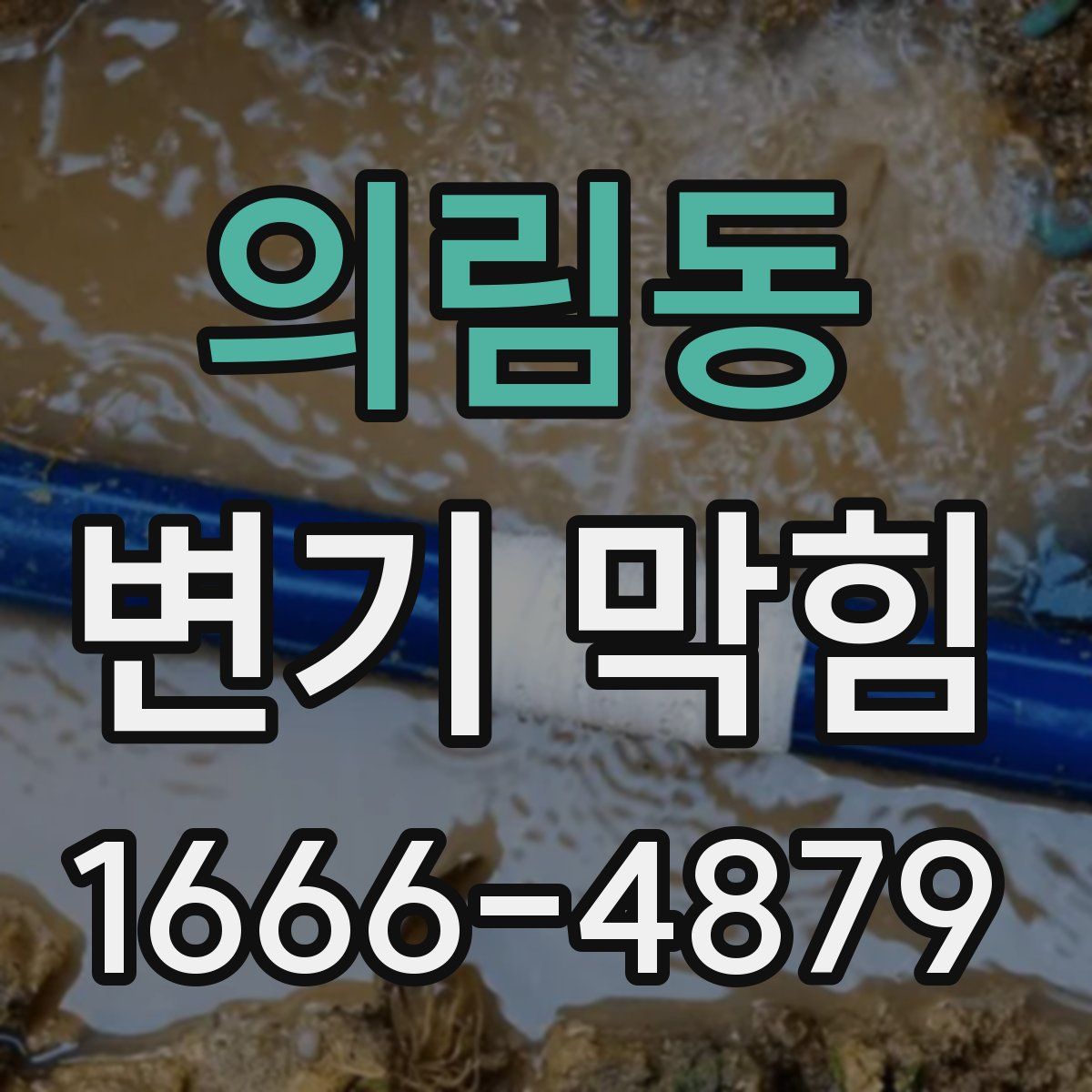 의림동 변기 막힘