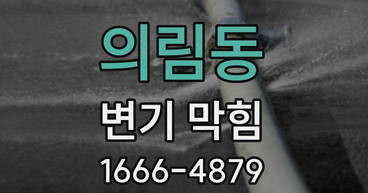 의림동 변기 막힘