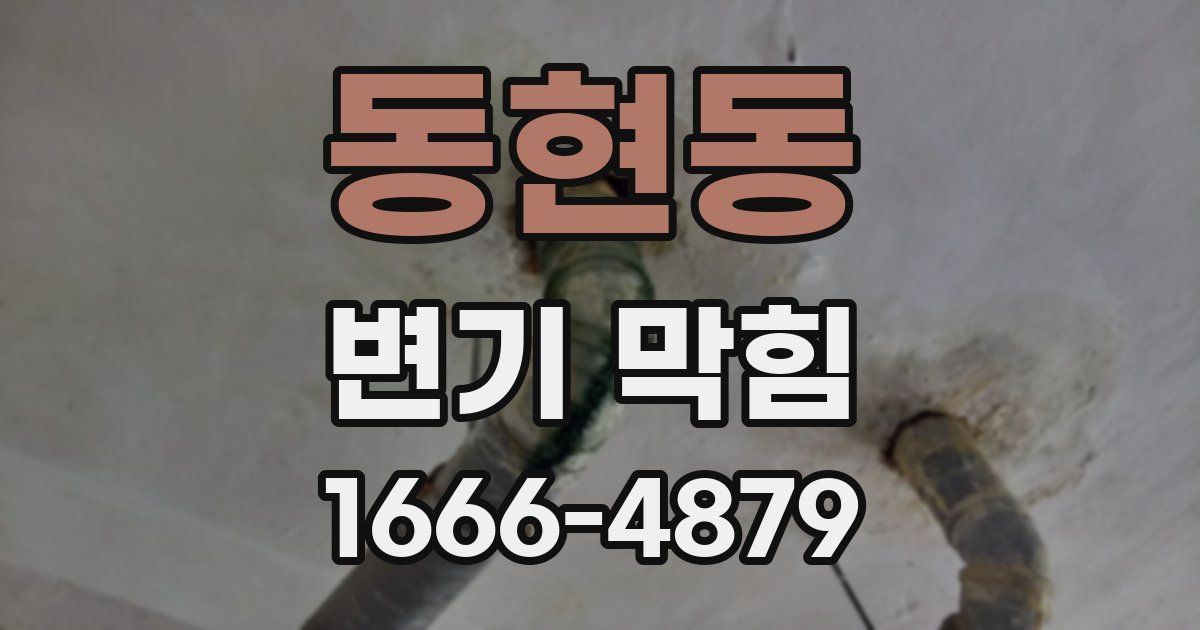 동현동 변기 막힘