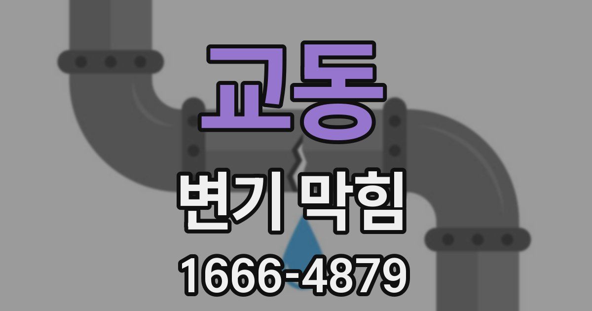 교동 변기 막힘