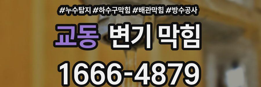 교동 변기 막힘