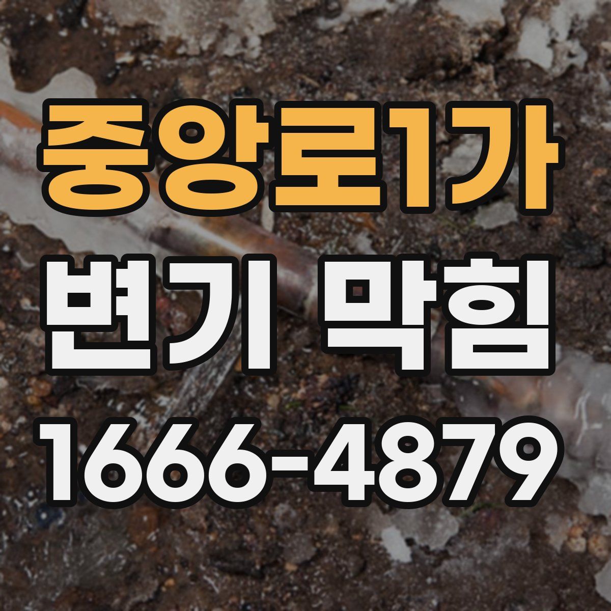 중앙로1가 변기 막힘