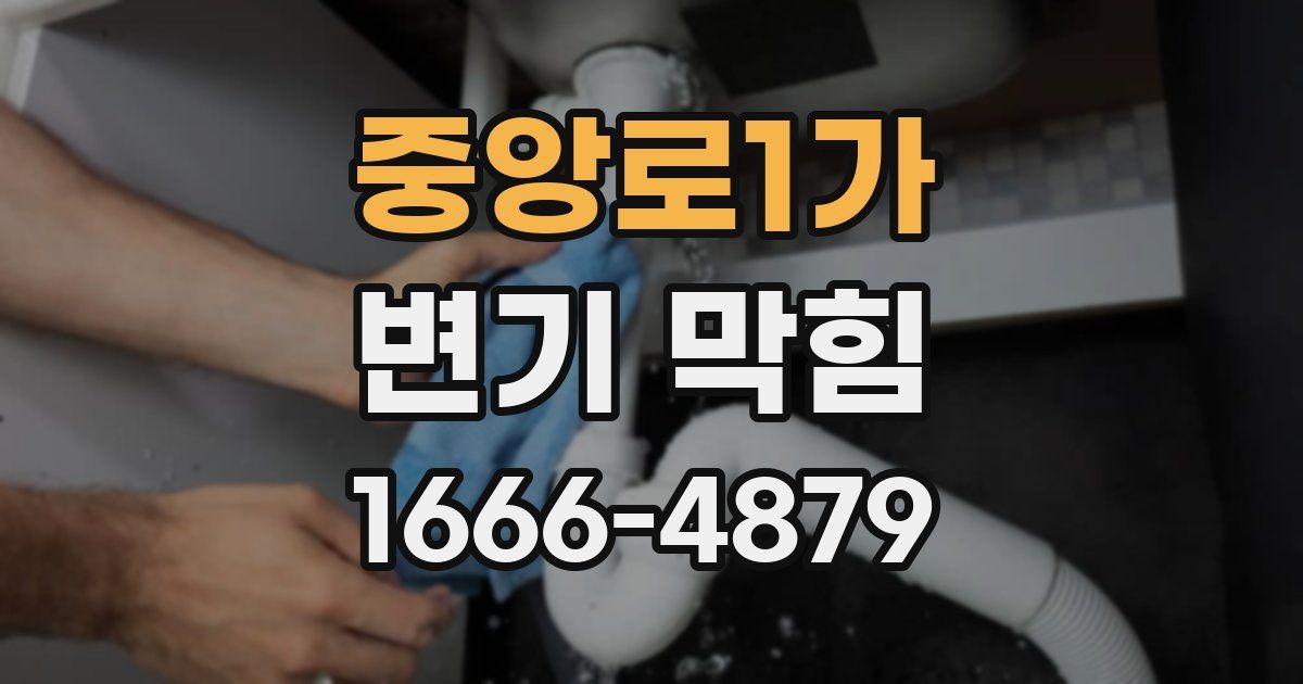 중앙로1가 변기 막힘
