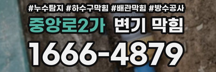 중앙로2가 변기 막힘