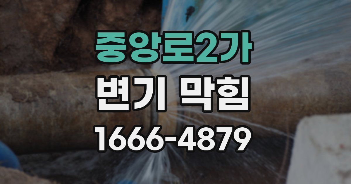 중앙로2가 변기 막힘