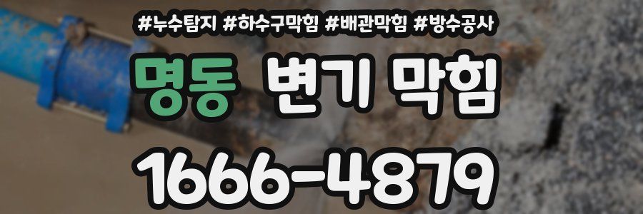 명동 변기 막힘
