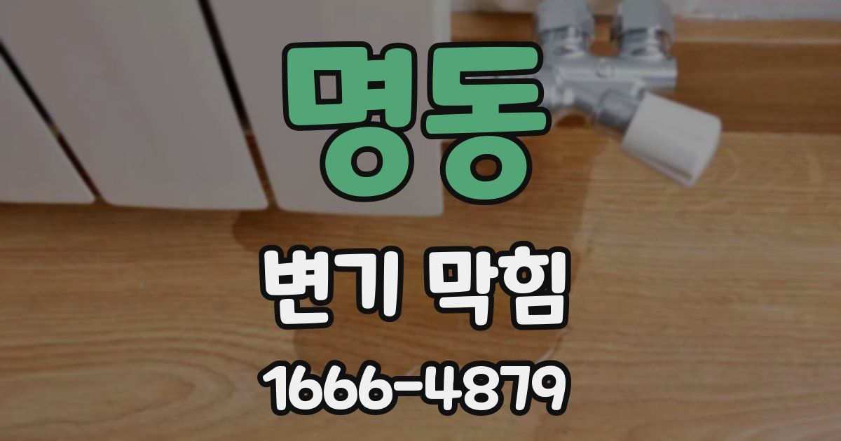 명동 변기 막힘