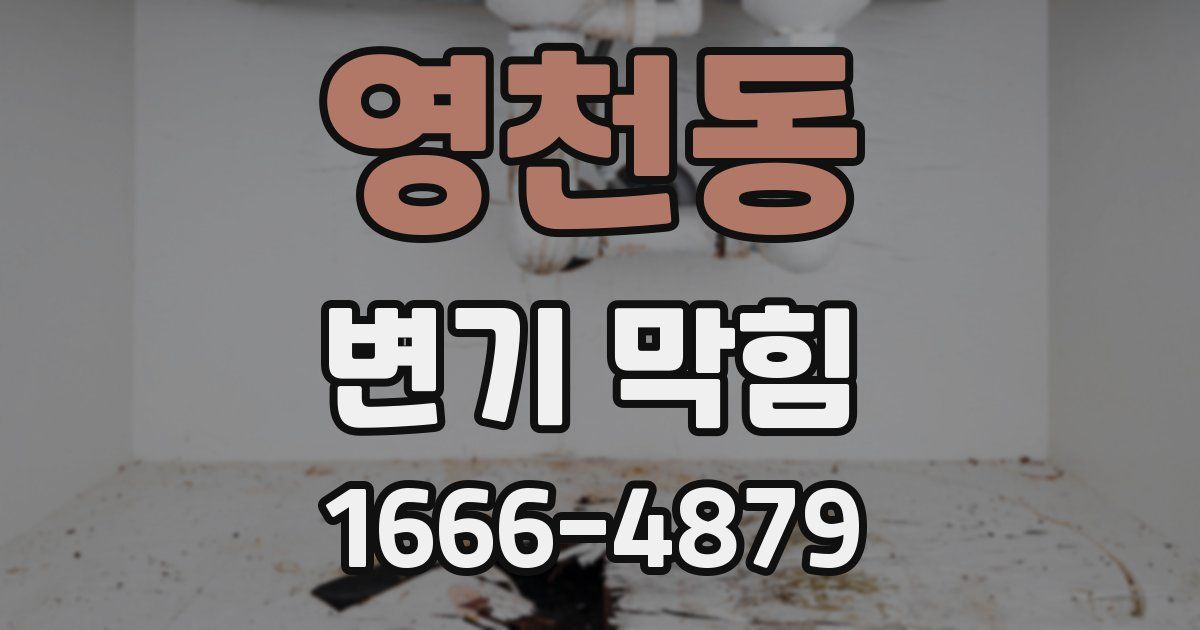 영천동 변기 막힘