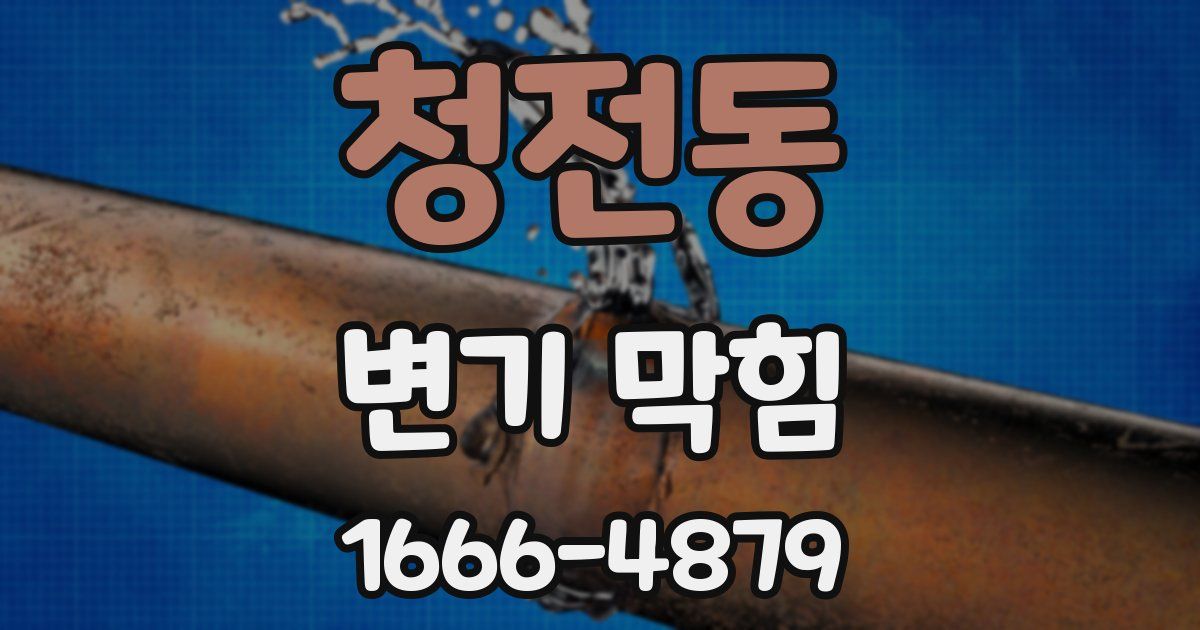 청전동 변기 막힘