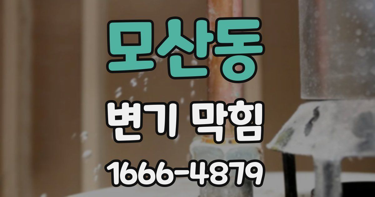 모산동 변기 막힘