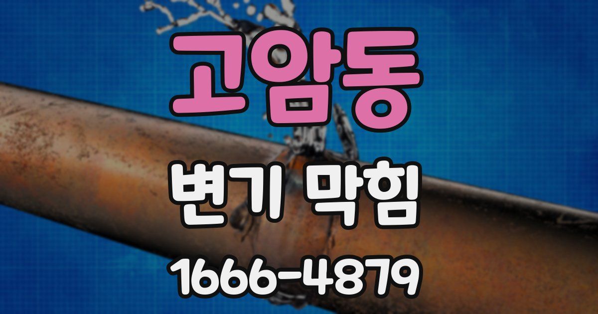 고암동 변기 막힘