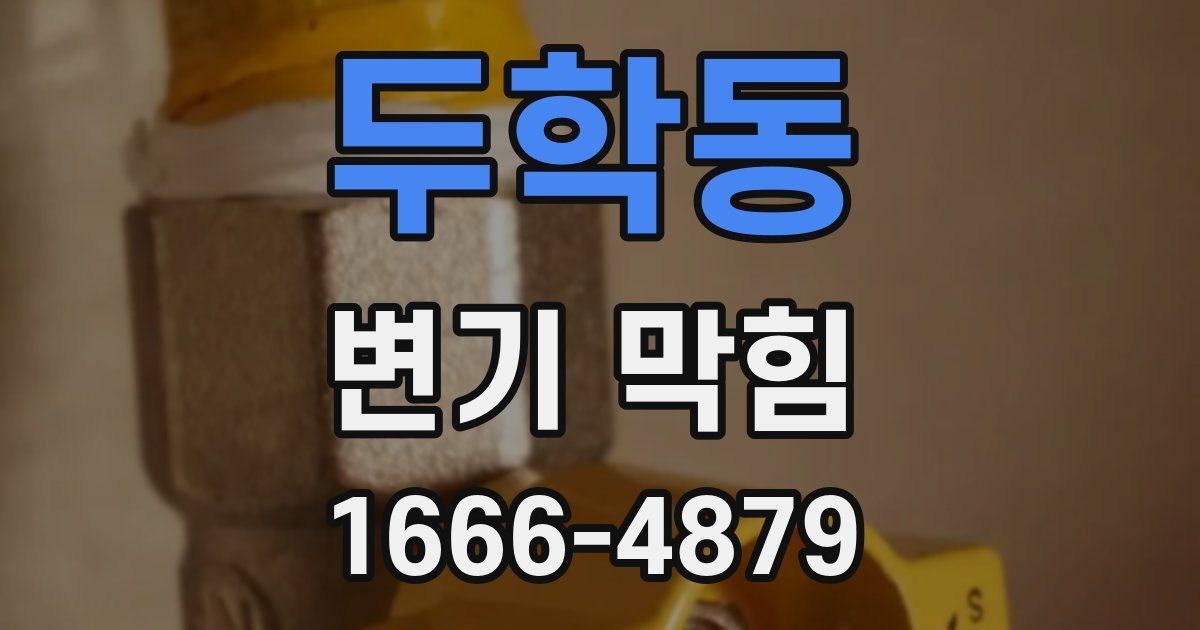 두학동 변기 막힘