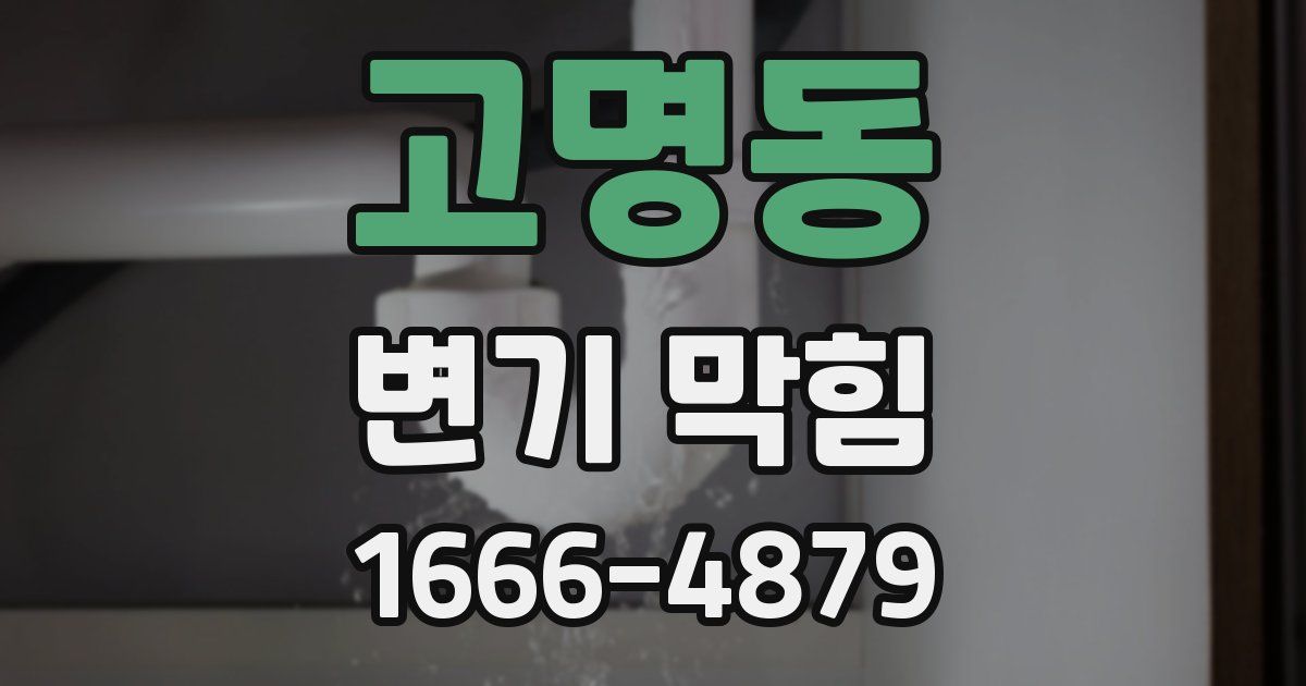 고명동 변기 막힘