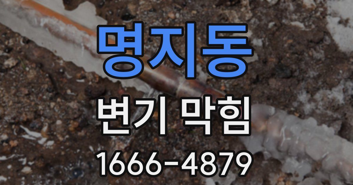 명지동 변기 막힘