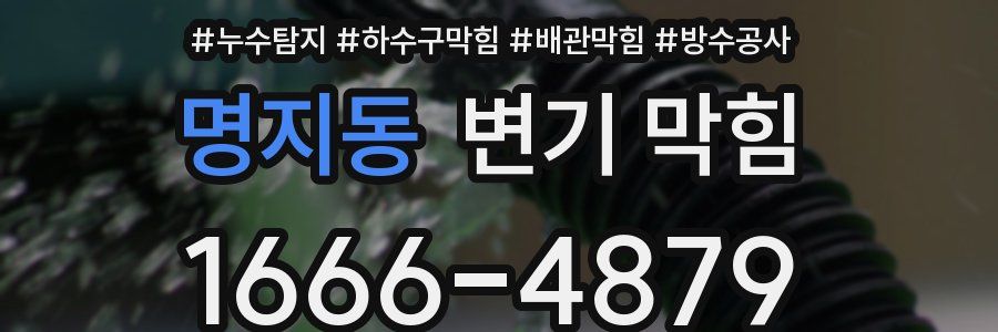 명지동 변기 막힘