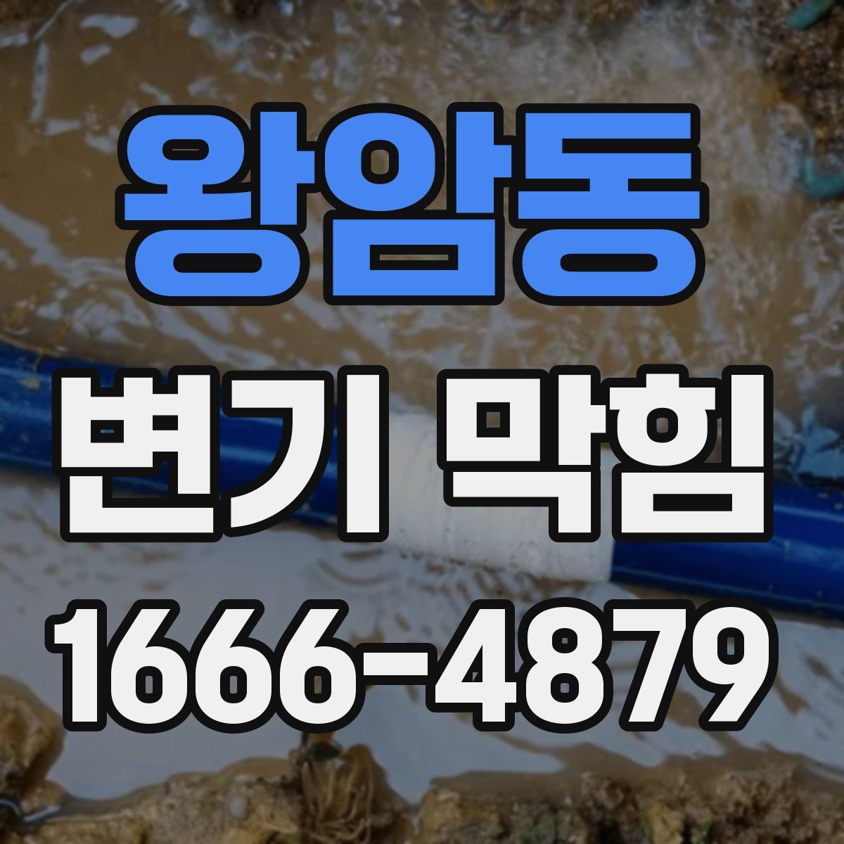왕암동 변기 막힘
