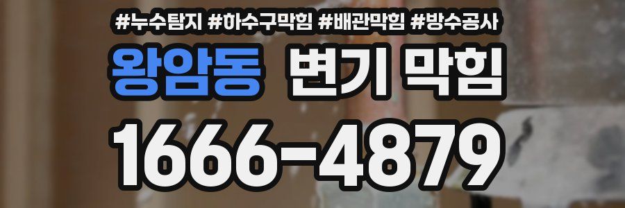 왕암동 변기 막힘