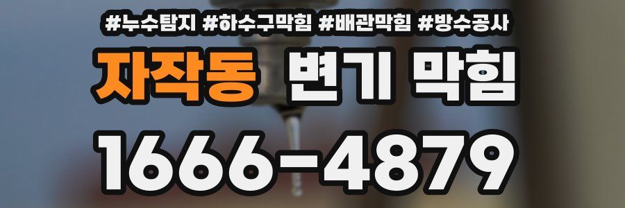 자작동 변기 막힘
