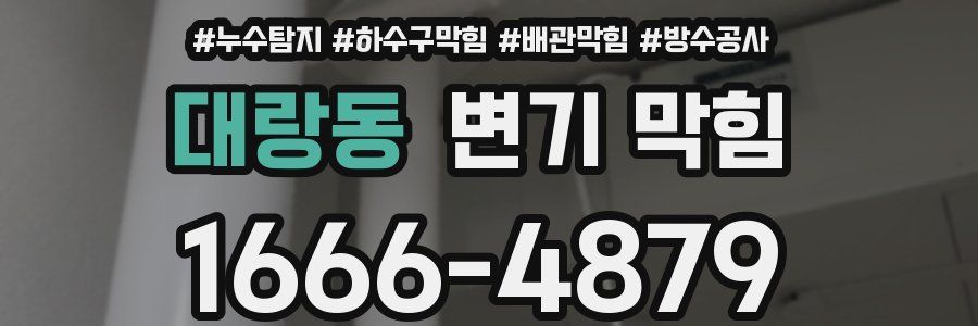 대랑동 변기 막힘