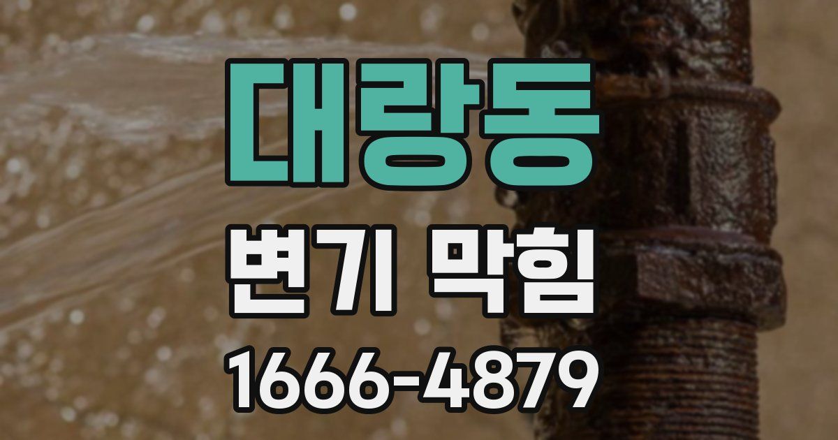 대랑동 변기 막힘