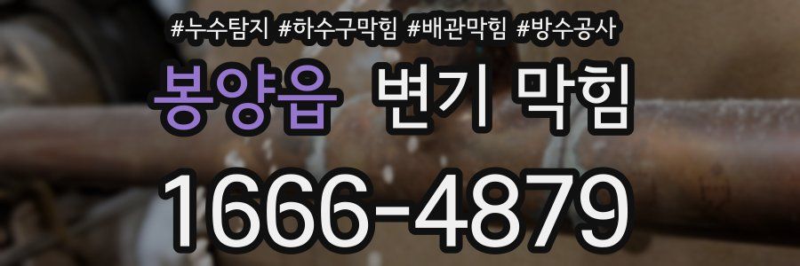 봉양읍 변기 막힘