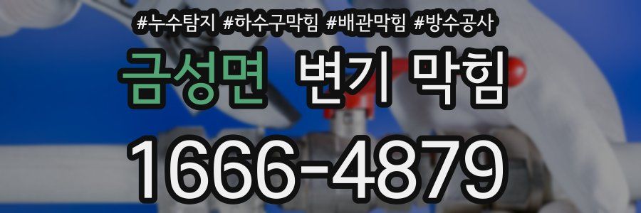 금성면 변기 막힘
