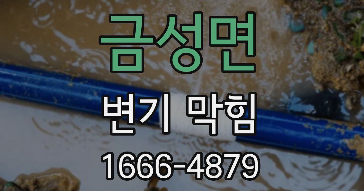 금성면 변기 막힘