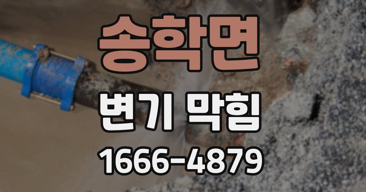 송학면 변기 막힘