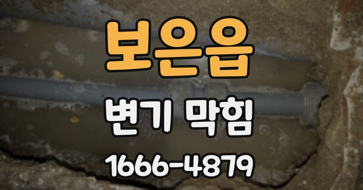 보은읍 변기 막힘