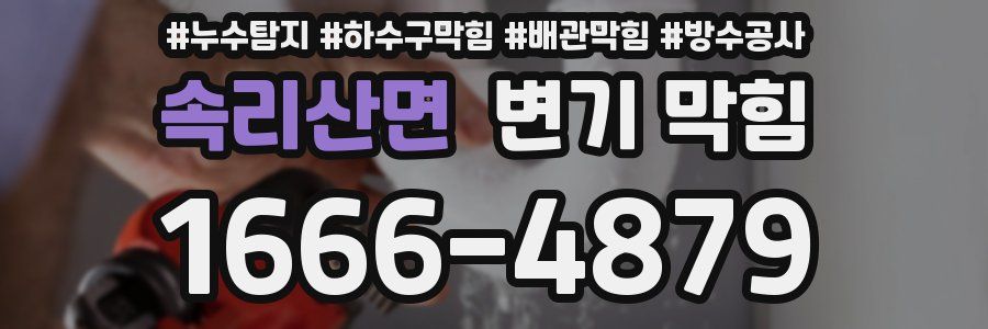 속리산면 변기 막힘