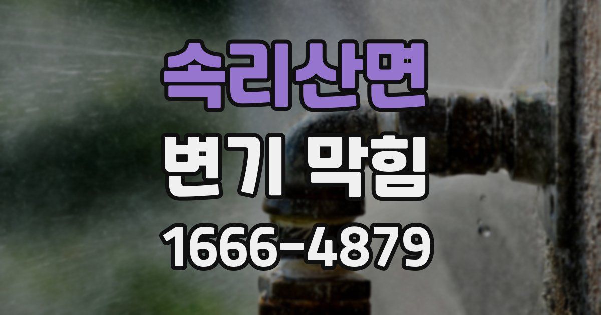 속리산면 변기 막힘