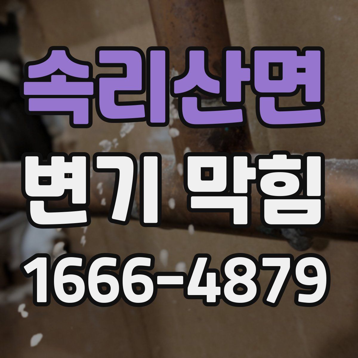 속리산면 변기 막힘