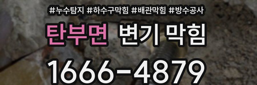 탄부면 변기 막힘