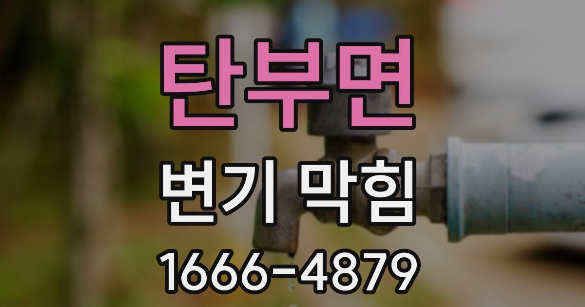 탄부면 변기 막힘