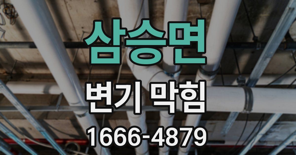 삼승면 변기 막힘