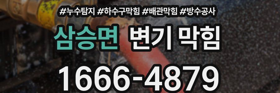 삼승면 변기 막힘