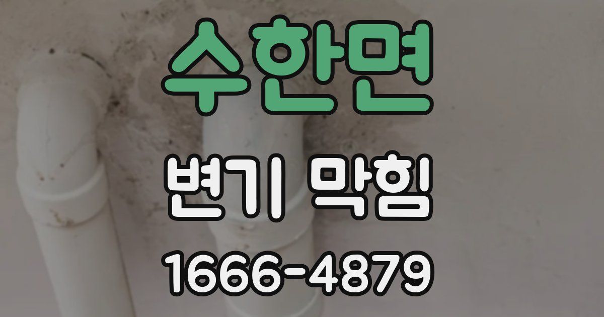 수한면 변기 막힘