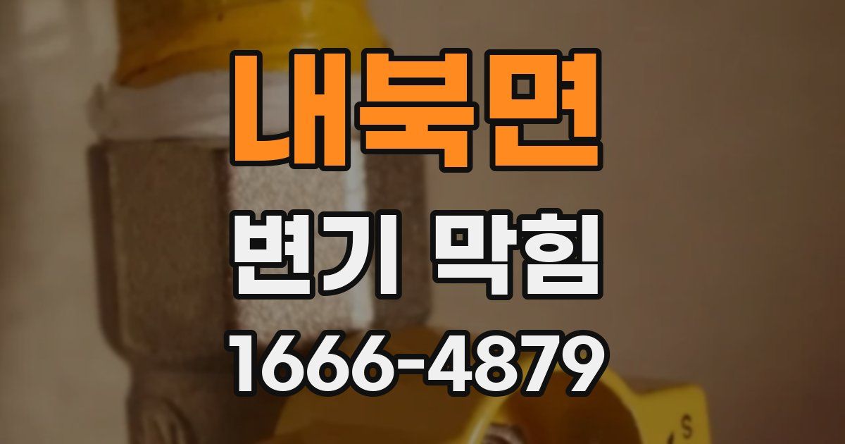 내북면 변기 막힘