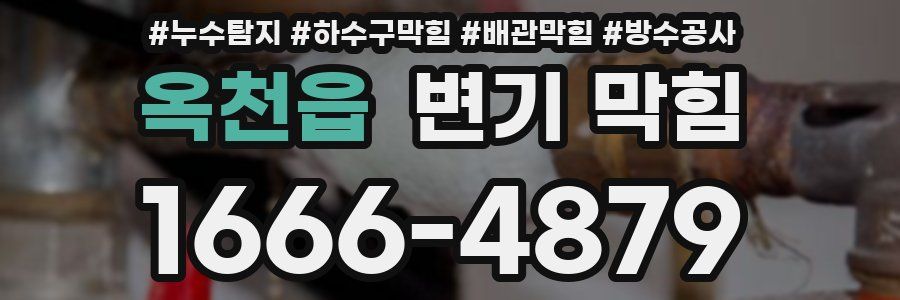 옥천읍 변기 막힘