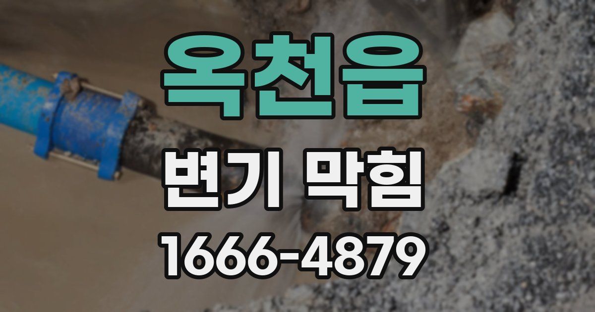 옥천읍 변기 막힘