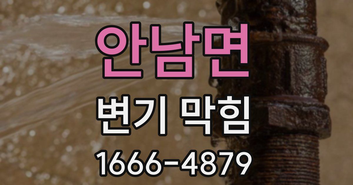 안남면 변기 막힘